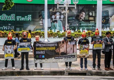 รายงาน “ธนาคารเพื่อสัตว์ ปี 2568” ชี้ชัด: 58% ของธนาคารทั่วโลกส่วนใหญ่ยังเพิกเฉย ต่อสวัสดิภาพสัตว์ ซิเนอร์เจีย แอนนิมอล จี้เร่งปรับนโยบายด่วน!