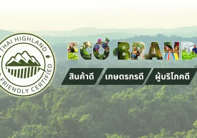 ECO-BRAND กาแฟใต้ร่มไม้ กับภารกิจคืนลมหายใจให้ผืนป่าและผู้คน