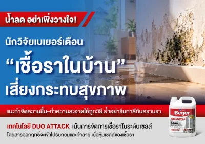 น้ำลด อย่าเพิ่งวางใจ! นักวิจัยเบเยอร์เตือน “เชื้อราในบ้าน” เสี่ยงกระทบสุขภาพ แนะกำจัดความชื้น–ทำความสะอาดให้ถูกวิธี ย้ำอย่ารีบทาสีทับคราบรา